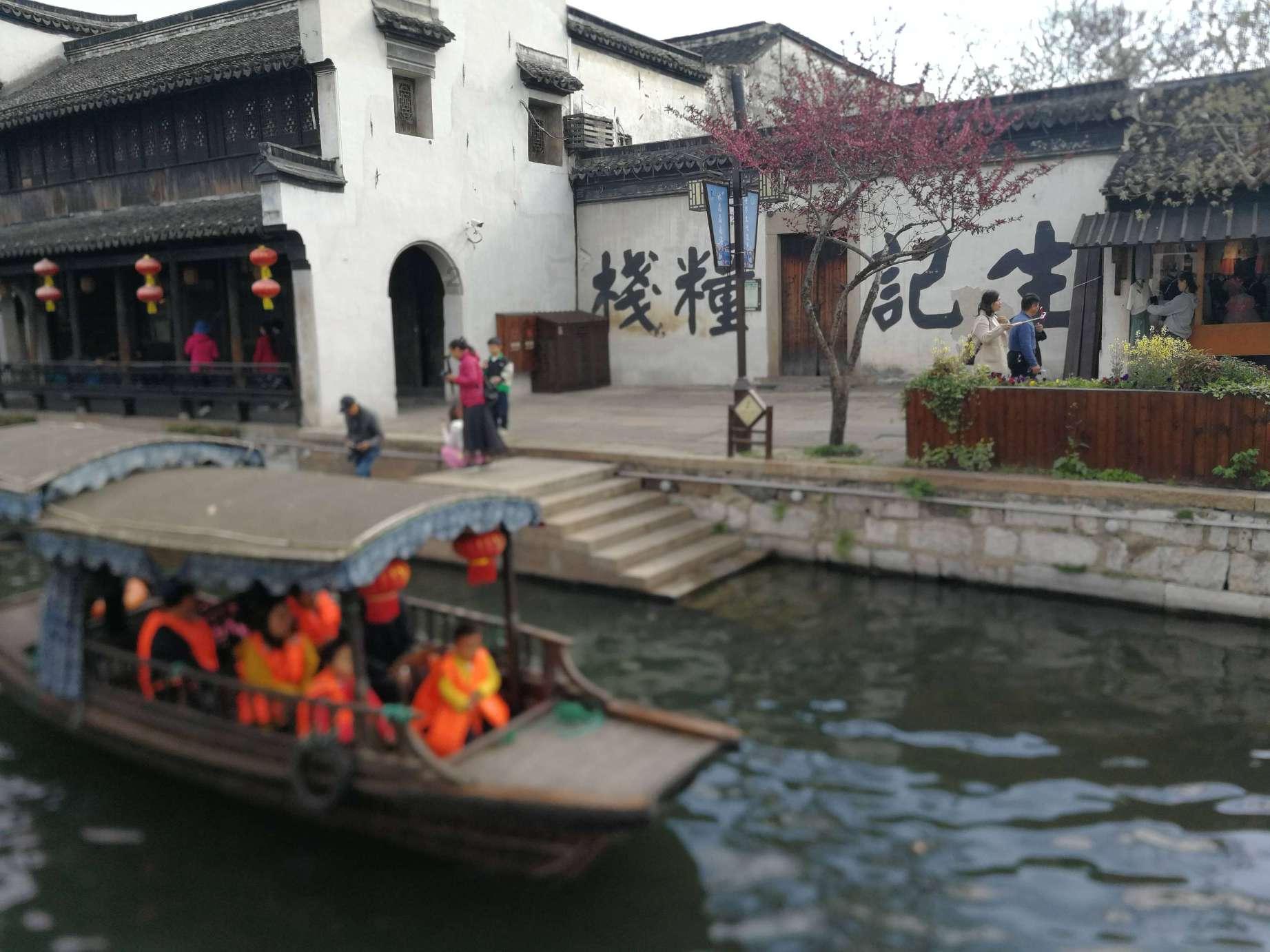 动保协会:昆明动物园两只猫未被找到,若救出将带回北京猫屋
